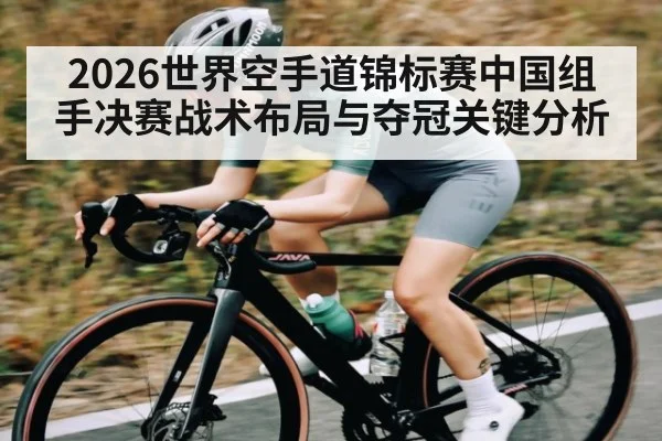 2026世界空手道锦标赛中国组手决赛战术布局与夺冠关键分析